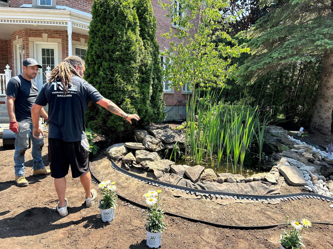 Erreurs à éviter en aménagement paysager