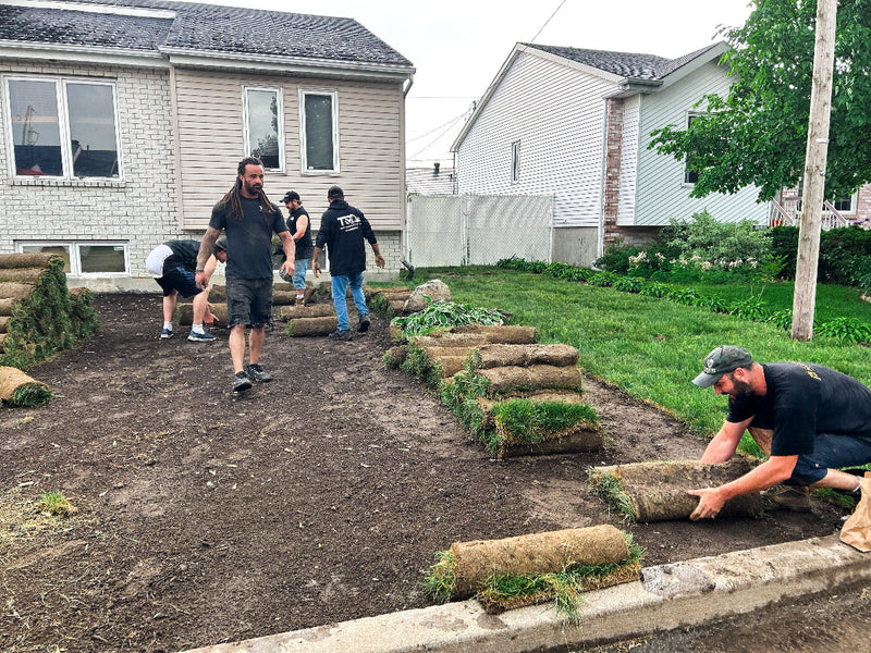 installation de gazon en rouleau 