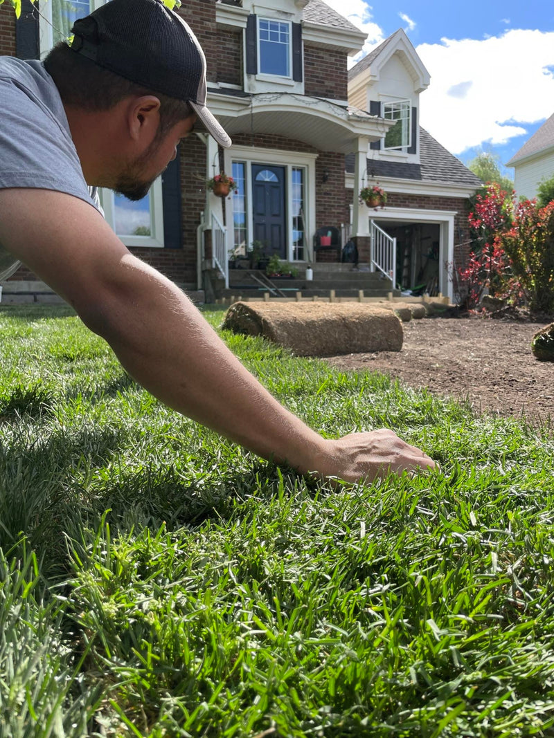 Installation de Gazon en Rouleaux
