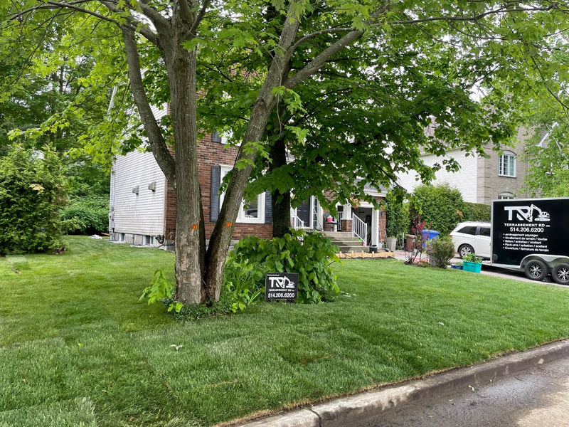 Installation de gazon en rouleaux  Rive Nord