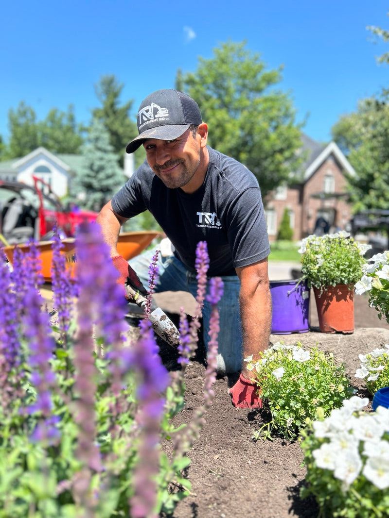 plantation de fleur arbres et arbustes
