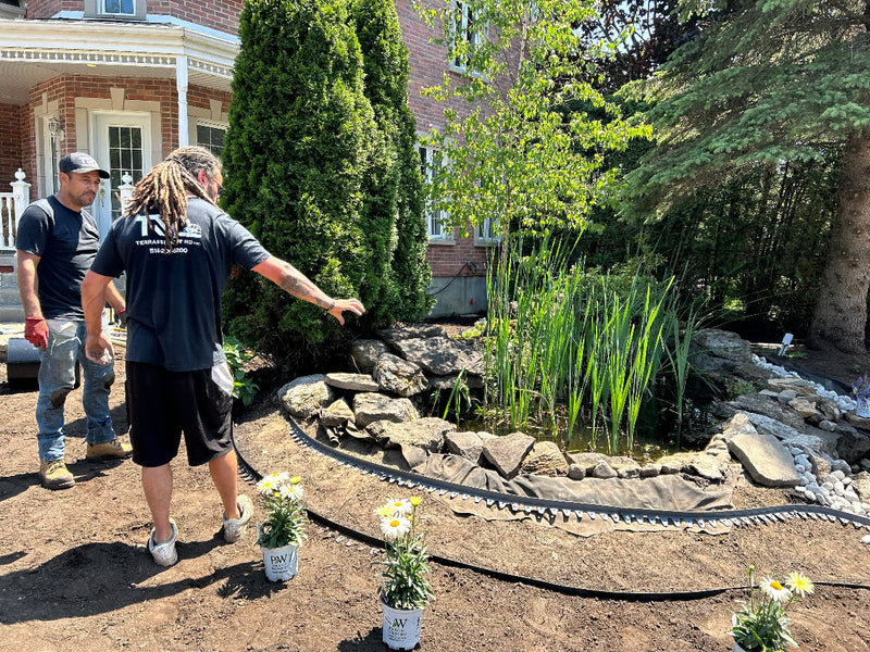 service de plantation