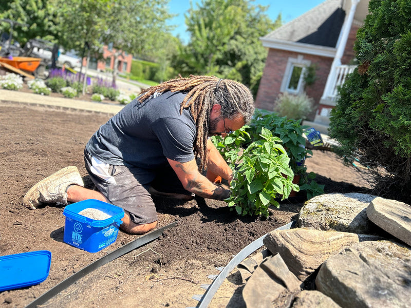 Installation de pavé uni 