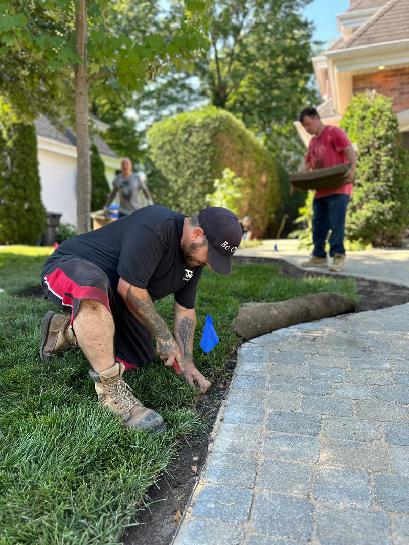 Installation de gazon en rouleaux