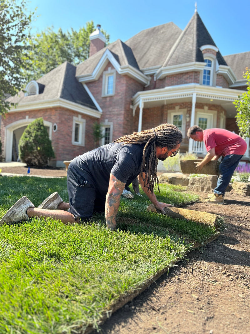 Installation de gazon en rouleau