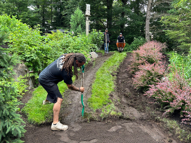 préparation de terrain