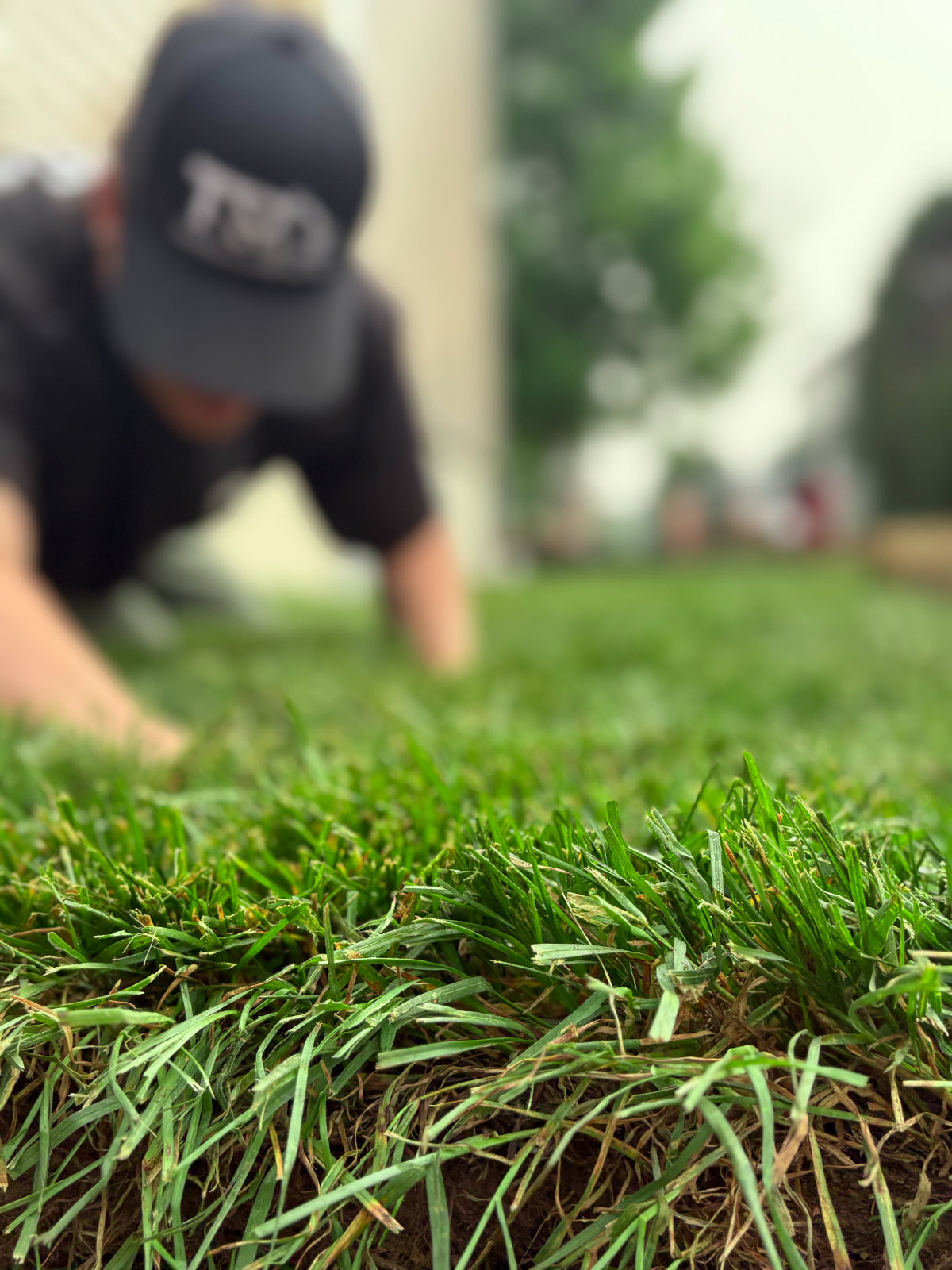 installation de gazon en rouleau