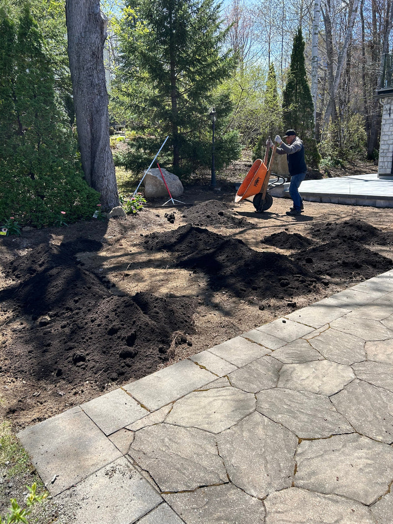 préparation de terrain