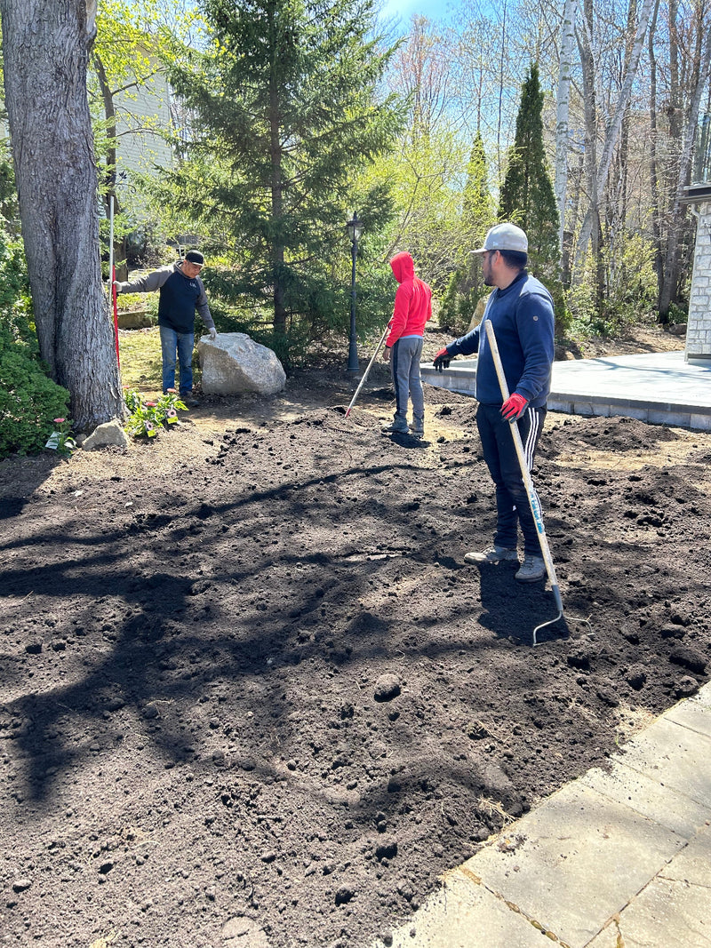 préparation de terrain