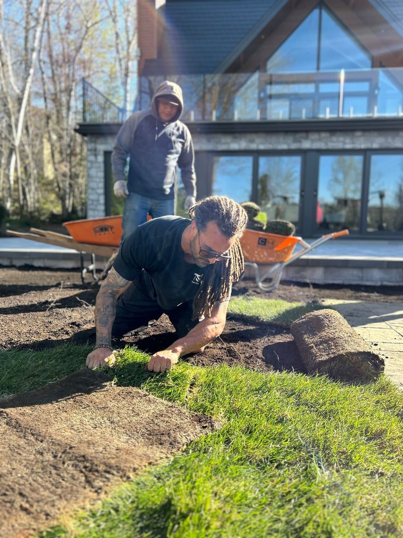 installation de gazon en rouleau