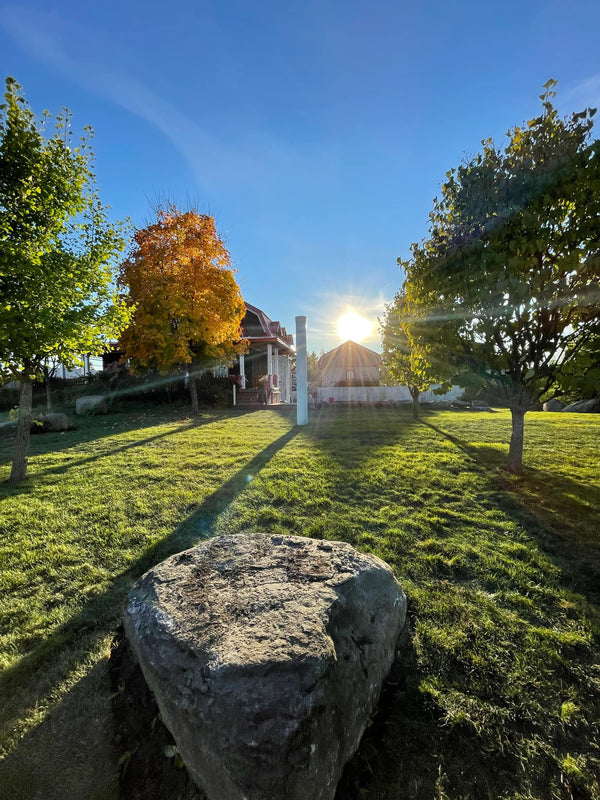 Installation de gazon en rouleau